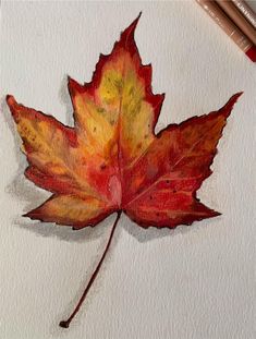 a drawing of a leaf with colored pencils