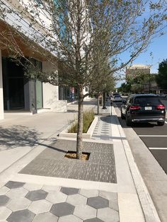 Waterscape Design, Tree Grate, Commercial Landscape Design, Streetscape Design, Pavement Design, Hotel Landscape, Paver Designs, Landscape Design Drawings