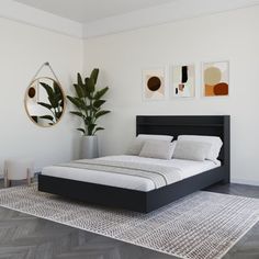 a bedroom with a bed, plant and pictures on the wall