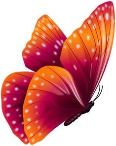 an orange and pink butterfly flying in the air with its wings spread out to look like it