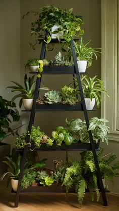 a ladder filled with lots of different types of plants