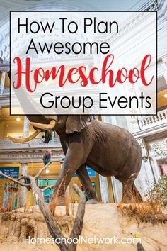 an elephant in the middle of a museum with text overlay reading how to plan awesome homeschool group events