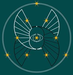 an image of a fan with stars in the center on a dark green background illustration