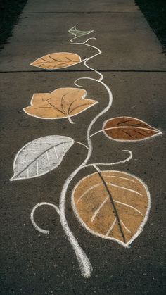 some leaves are drawn on the pavement with chalk