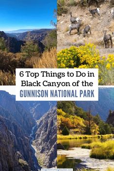 the top things to do in black canyon of the gunston national park