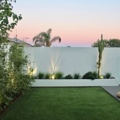 a modern backyard with grass and plants at dusk