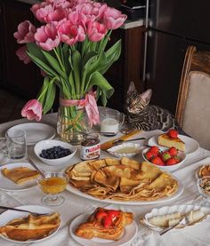 a cat sitting at a table full of food