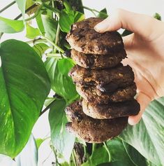 a person holding up three chocolate cookies in front of a plant