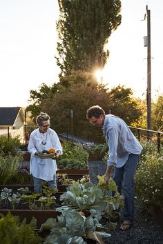 garden Edible Garden, Greener Grass, Washington Park, Irrigation System, Private Garden, Kitchen Garden, Green Grass, Dream Garden, Urban Garden