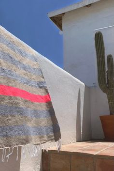 an umbrella sitting next to a cactus in front of a building