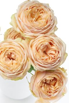 a white vase filled with pink roses on top of a table