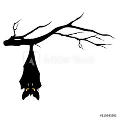 a bat hanging upside down from a tree branch with no leaves on it, silhouetted against