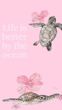 a pink background with an image of a sea turtle and butterfly on it's back