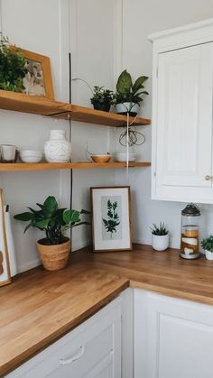 the kitchen counter is clean and ready to be used as a place for potted plants