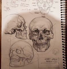 a drawing of three human skulls with different angles and facial features on them, all in various views