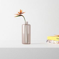 a vase with a flower in it next to books