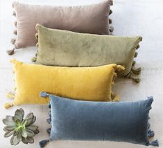 three pillows with tassels on them sitting next to a succulent plant