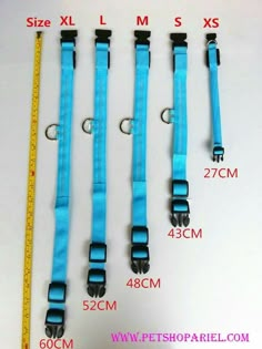 four different sizes of blue dog leashes with measuring tape