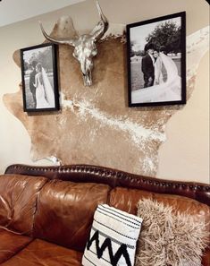 a couch with two pictures on the wall and a cow skull mounted to it's side