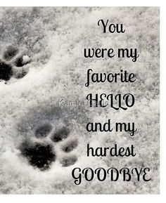 an animal paw print with the words you were my favorite 1910 and my hardest goodbye