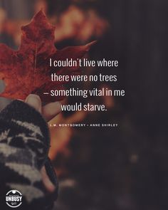 someone holding a leaf in their hand with the quote i couldn't live where there were no trees