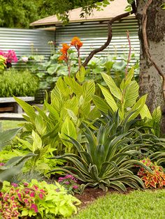 the garden is full of colorful flowers and plants, including green leaves on the trees