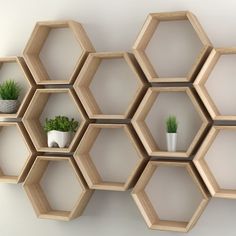 several hexagonal shelves with plants in them on a white wall behind the shelf