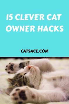 a cat laying on top of a bed with the caption, 15 clever cat owner hacks