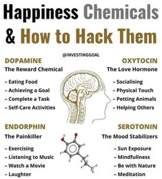 Happiness Chemicals, Mental Health Facts, Health Info, Brain Health, Health Facts