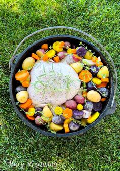 a pot filled with vegetables and meat on top of green grass in the middle of a field