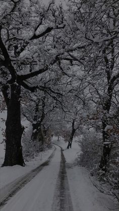 a snowy road surrounded by trees and snow covered ground