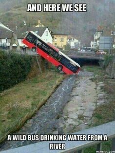 a bus that is upside down on its side in the grass next to a river