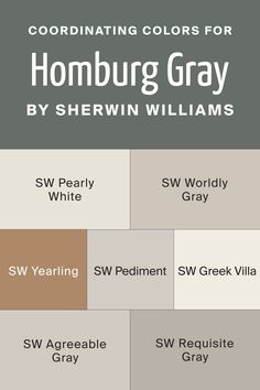 an image of some colors for homebuug gray by sherylin williams and sherri