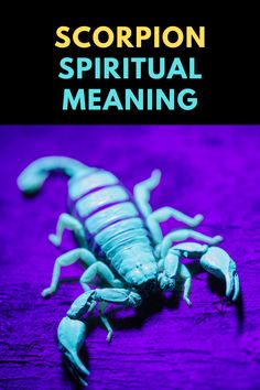 Scorpion Spiritual Meaning, Totem Animals, Sleep Phases, Improve Sleep, Go To Sleep, How To Do Yoga, Spiritual Awakening