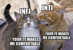 Personalidad Infj, Intj Enfp, Mbti Infj, Introvert Extrovert