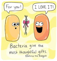 two cartoon characters with speech bubbles saying, for you i love it bacteria give the most thoughtful gifts