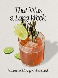 there is a cocktail with limes on the rim and garnish in it