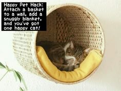 a cat sleeping in a basket with a caption that reads happy pet hack attach a basket to a wall, add a snugly blanket and you've got one happy cat