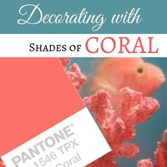 an orange and pink color scheme with the words, decorating with shades of coral