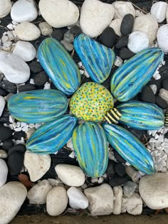 a blue and yellow flower sitting on top of rocks next to gravel, stones and pebbles