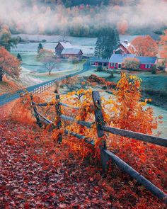 an autumn scene with red leaves on the ground and fog in the sky behind it