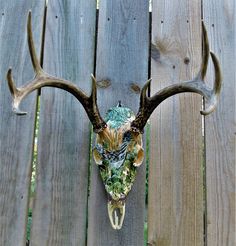 a deer skull mounted on the side of a wooden fence with antlers and foliage