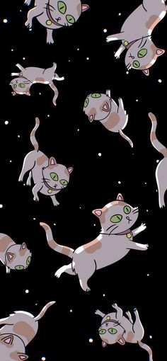 many cats are flying through the air in different positions on a black background with stars