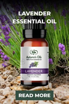 lavender essential oil bottle Wintergreen Essential Oil, Myrrh Essential Oil, Lavender Benefits, Essential Oils Guide, Essential Oils Gifts, Grapefruit Essential Oil, Oil Gifts, Lavender Fields