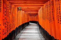 rows of orange and black pillars with writing on them