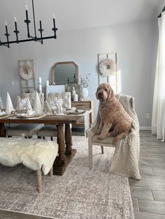 a dog is sitting on a chair in the middle of a room with white decor