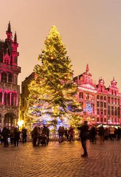 a large christmas tree is lit up in the middle of a town square at night