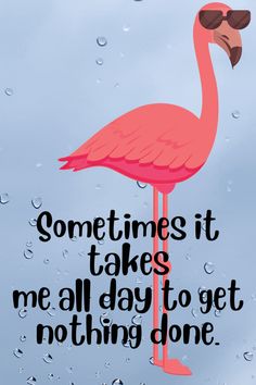 a pink flamingo with sunglasses on it's head and the words sometimes it takes me all day to get nothing done