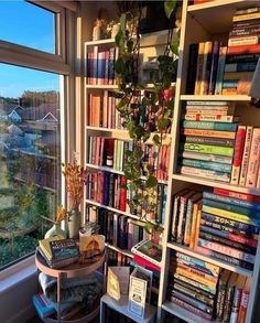 a bookshelf filled with lots of books next to a window covered in plants