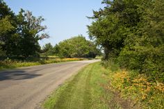 an empty road surrounded by trees and wildflowers